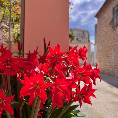 Villa Ensalv Berat - Apartment - Room - Penthouse Exterior foto